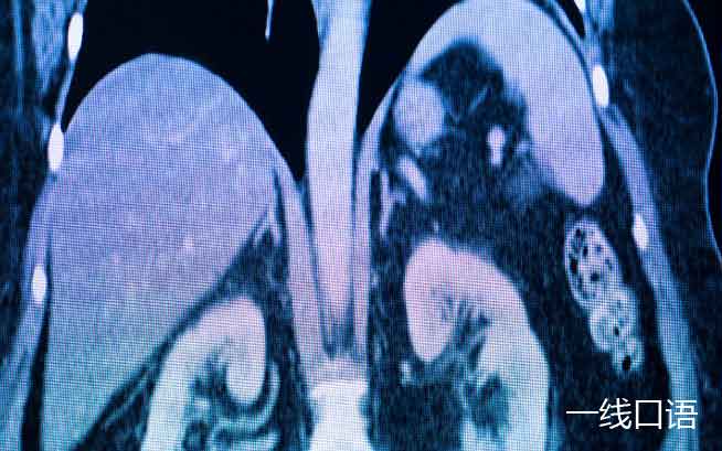 双语新闻：科学家发现新器官，可帮助解释癌症扩散！ (3).jpg