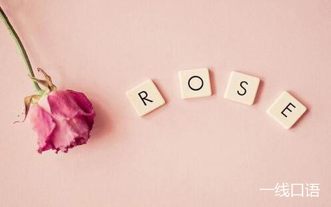 rose是什么意思？送你一首关于rose的小诗 (3).jpg